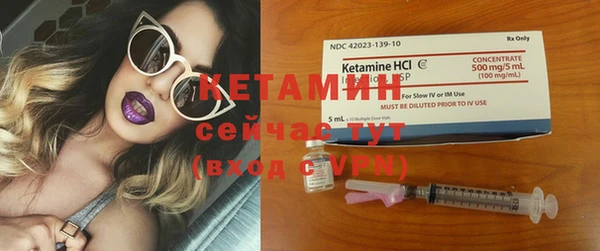 индика Нея