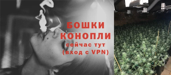 крисы Нефтегорск
