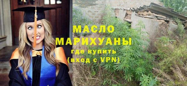 индика Нея