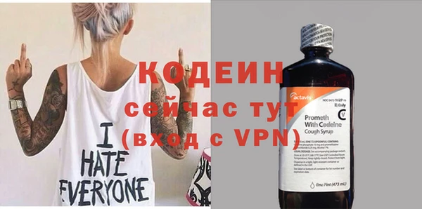 индика Нея