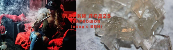 индика Нея