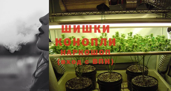 индика Нея