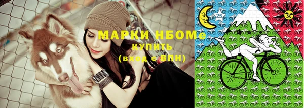 индика Нея