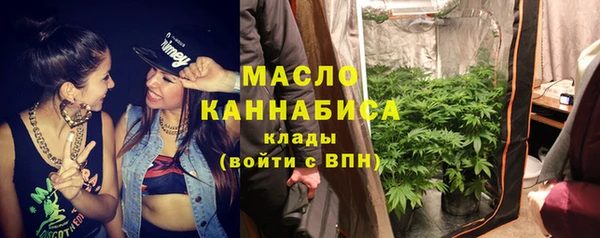 индика Нея