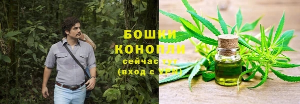 индика Нея
