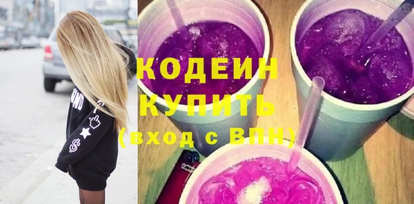 индика Нея