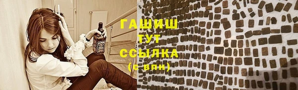 индика Нея