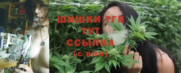 крисы Нефтегорск