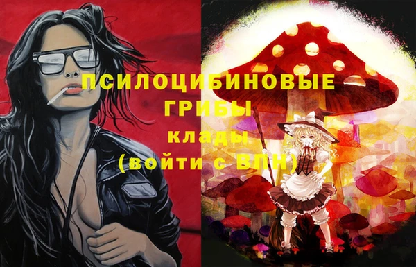 индика Нея