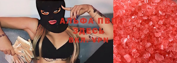 индика Нея