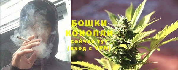 крисы Нефтегорск