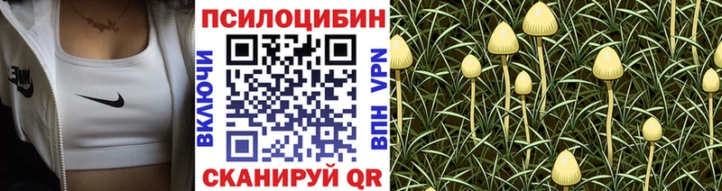 Галлюциногенные грибы Magic Shrooms  Туран 
